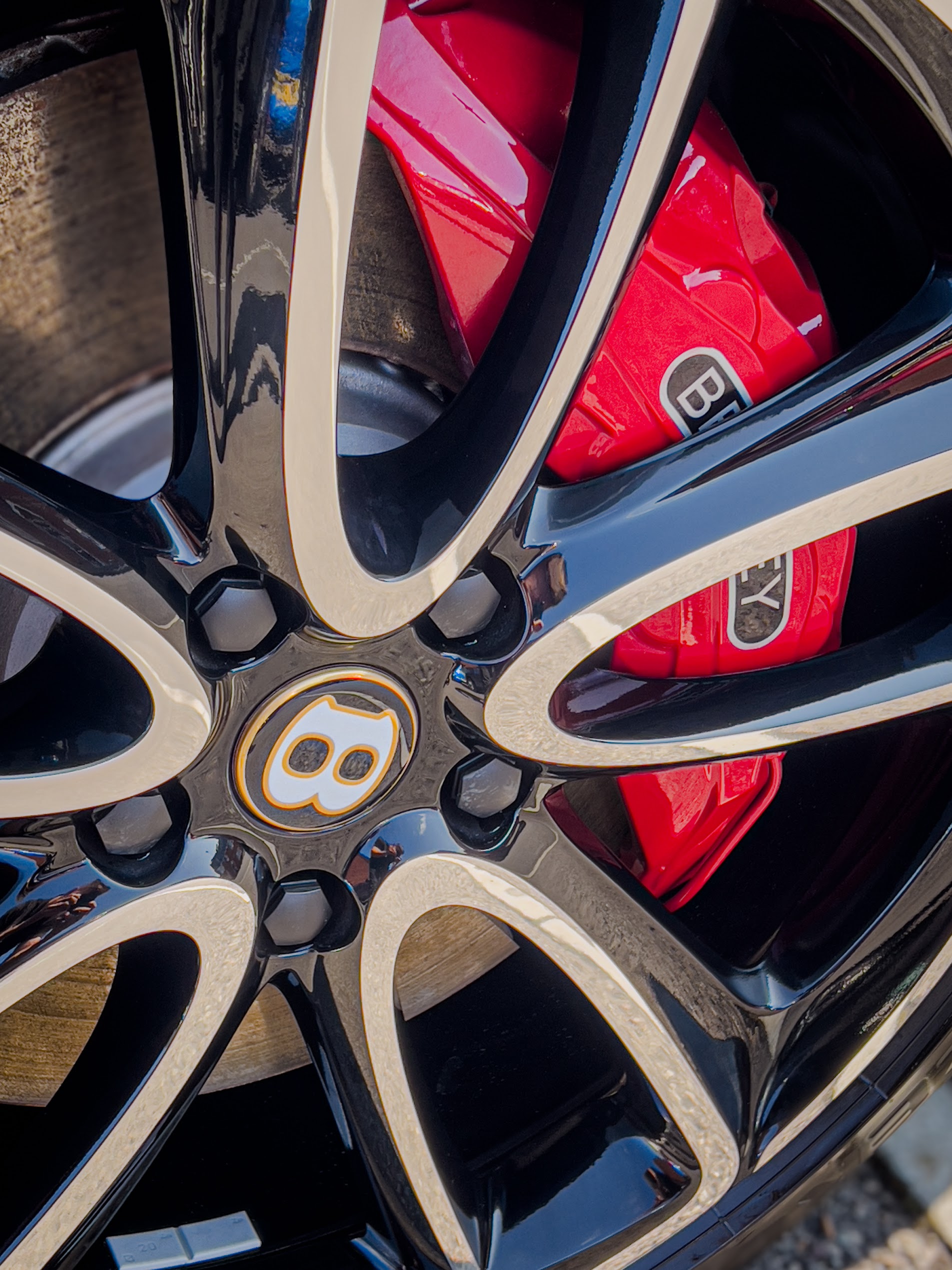 Detailed alloy wheel and brake caliper